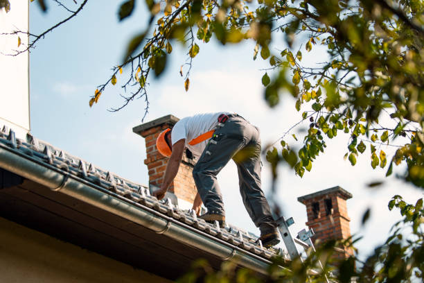 Professional Roofing Contractor in Balfour, NC