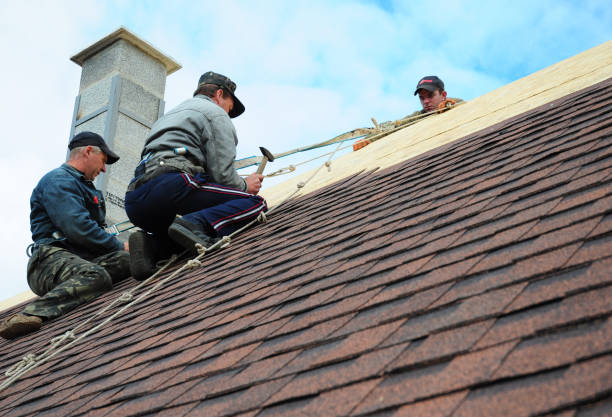 Best Roof Gutter Cleaning  in Balfour, NC