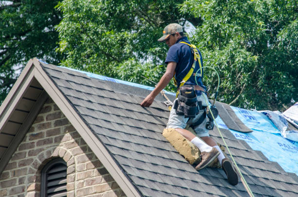 Best New Roof Installation  in Balfour, NC