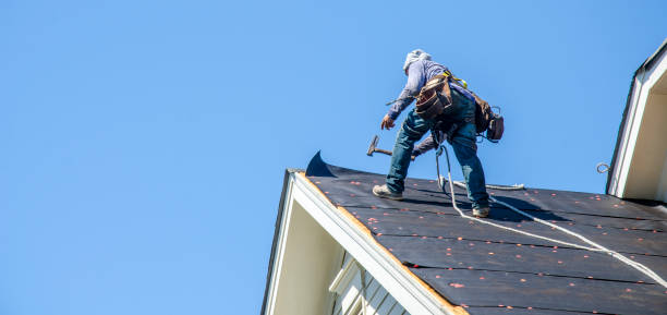 Best Gutter Installation and Roofing  in Balfour, NC